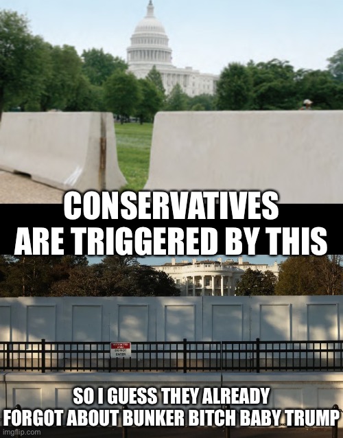 CONSERVATIVES ARE TRIGGERED BY THIS; SO I GUESS THEY ALREADY FORGOT ABOUT BUNKER BITCH BABY TRUMP | image tagged in conservative hypocrisy,wall | made w/ Imgflip meme maker
