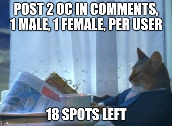 L | POST 2 OC IN COMMENTS, 1 MALE, 1 FEMALE, PER USER; 18 SPOTS LEFT | image tagged in memes,i should buy a boat cat | made w/ Imgflip meme maker