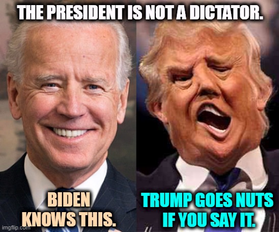 Biden is aware and stable. Trump is delusional and senile. | THE PRESIDENT IS NOT A DICTATOR. BIDEN KNOWS THIS. TRUMP GOES NUTS 
IF YOU SAY IT. | image tagged in biden solid stable trump acid drugs,president,biden,dictator,trump | made w/ Imgflip meme maker