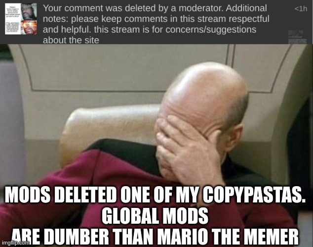 MODS DELETED ONE OF MY COPYPASTAS.
GLOBAL MODS ARE DUMBER THAN MARIO THE MEMER | image tagged in memes,captain picard facepalm | made w/ Imgflip meme maker