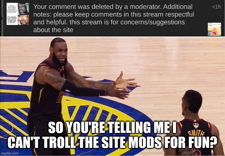 SO YOU'RE TELLING ME I CAN'T TROLL THE SITE MODS FOR FUN? | image tagged in lebron james jr smith | made w/ Imgflip meme maker