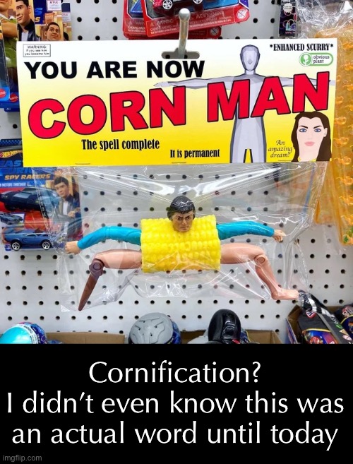 Cornification?
I didn’t even know this was an actual word until today | made w/ Imgflip meme maker