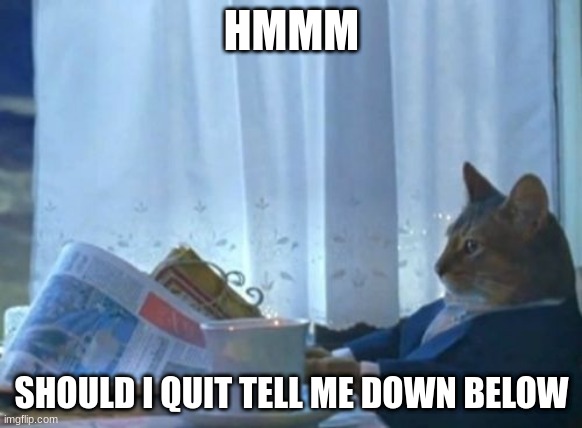 I Should Buy A Boat Cat | HMMM; SHOULD I QUIT TELL ME DOWN BELOW | image tagged in memes,i should buy a boat cat | made w/ Imgflip meme maker