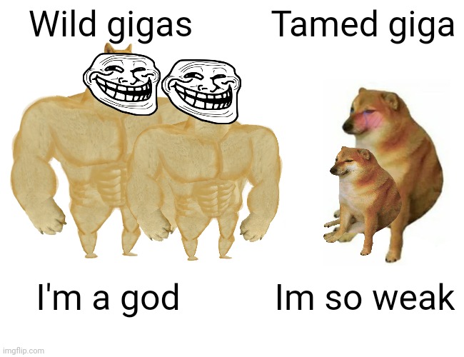 Buff Doge vs. Cheems | Wild gigas; Tamed giga; I'm a god; Im so weak | image tagged in memes,buff doge vs cheems | made w/ Imgflip meme maker