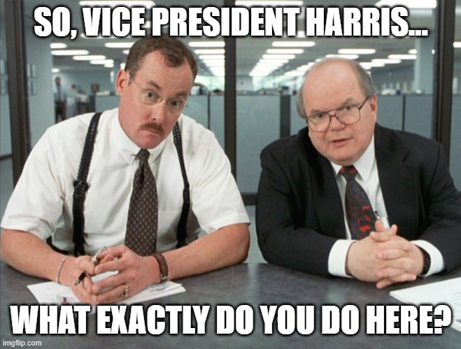 Wish the Bobs could do this. | SO, VICE PRESIDENT HARRIS... WHAT EXACTLY DO YOU DO HERE? | image tagged in bobs,kamala harris,democrats,liberals,dimwit,woke | made w/ Imgflip meme maker