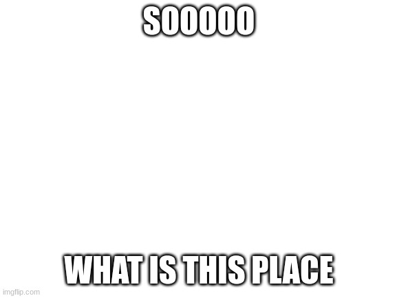 idk |  SOOOOO; WHAT IS THIS PLACE | image tagged in blank white template | made w/ Imgflip meme maker
