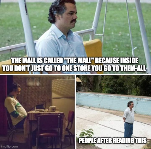 Mind Bloewin>>>> | THE MALL IS CALLED "THE MALL" BECAUSE INSIDE YOU DON'T JUST GO TO ONE STORE YOU GO TO THEM-ALL; PEOPLE AFTER READING THIS | image tagged in memes,sad pablo escobar | made w/ Imgflip meme maker