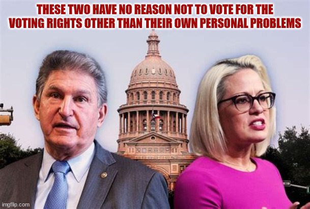 Kick them both out of the party. | THESE TWO HAVE NO REASON NOT TO VOTE FOR THE VOTING RIGHTS OTHER THAN THEIR OWN PERSONAL PROBLEMS | image tagged in sell out,two face,corruption,white supremacists | made w/ Imgflip meme maker