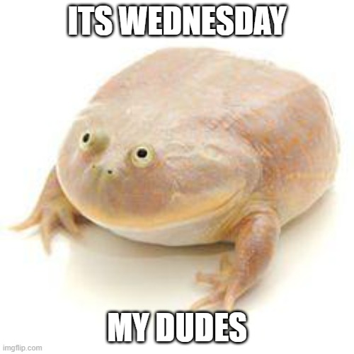 . | ITS WEDNESDAY; MY DUDES | image tagged in wednesday frog blank | made w/ Imgflip meme maker