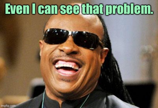 Stevie Wonder | Even I can see that problem. | image tagged in stevie wonder | made w/ Imgflip meme maker