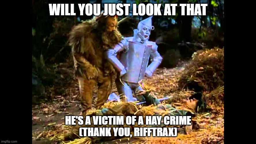 scarecrow in pieces |  WILL YOU JUST LOOK AT THAT; HE'S A VICTIM OF A HAY CRIME
(THANK YOU, RIFFTRAX) | image tagged in wizard of oz | made w/ Imgflip meme maker