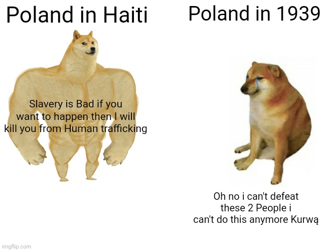 Buff Doge vs. Cheems Meme | Poland in Haiti Poland in 1939 Slavery is Bad if you want to happen then I will kill you from Human trafficking Oh no i can't defeat these 2 | image tagged in memes,buff doge vs cheems | made w/ Imgflip meme maker