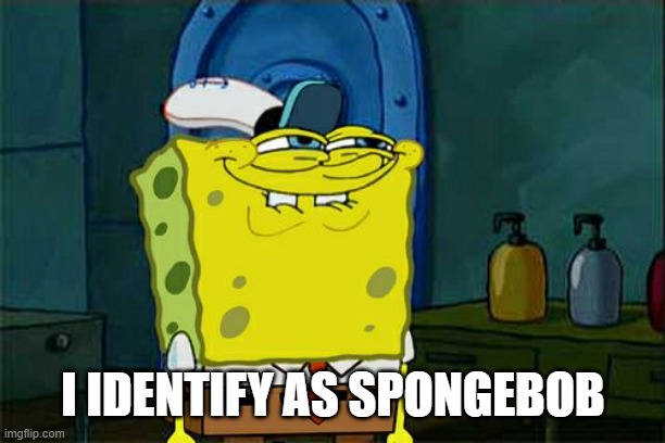 Don't You Squidward Meme | I IDENTIFY AS SPONGEBOB | image tagged in memes,don't you squidward | made w/ Imgflip meme maker