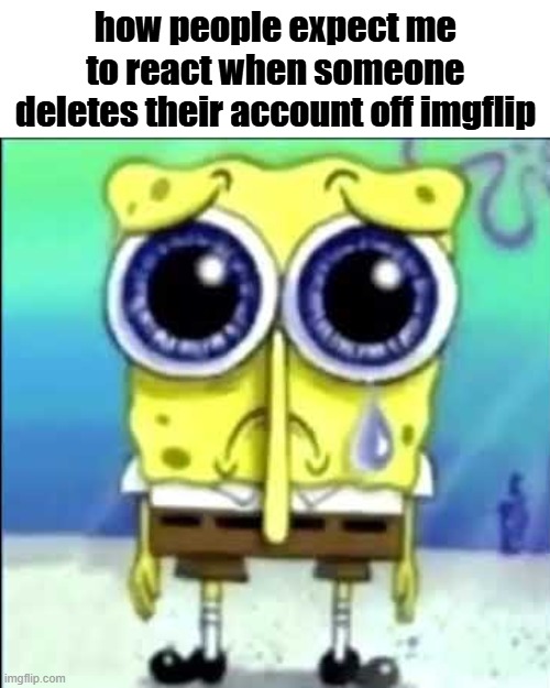 fr | how people expect me to react when someone deletes their account off imgflip | image tagged in sad spongebob | made w/ Imgflip meme maker