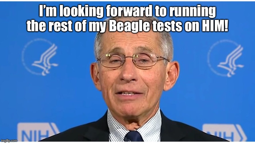 Dr Fauci | I’m looking forward to running the rest of my Beagle tests on HIM! | image tagged in dr fauci | made w/ Imgflip meme maker