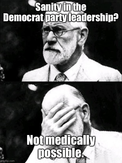 Freud | Sanity in the Democrat party leadership? Not medically possible. | image tagged in freud | made w/ Imgflip meme maker