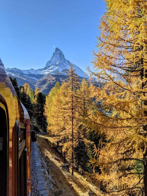 Larches And The Matterhorn From A Train In Switzerland | image tagged in awesome,pics,photography | made w/ Imgflip meme maker