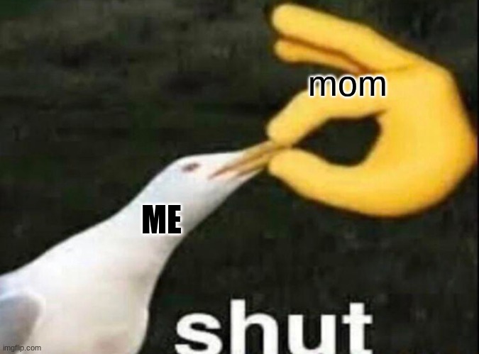 mom ME | image tagged in shut | made w/ Imgflip meme maker