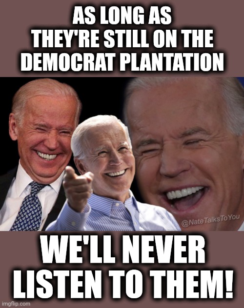 Joe Biden Laughing | AS LONG AS THEY'RE STILL ON THE DEMOCRAT PLANTATION WE'LL NEVER LISTEN TO THEM! | image tagged in joe biden laughing | made w/ Imgflip meme maker