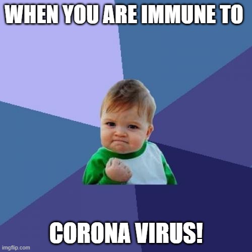 He'll have a nice future afterwards | WHEN YOU ARE IMMUNE TO; CORONA VIRUS! | image tagged in memes,success kid | made w/ Imgflip meme maker