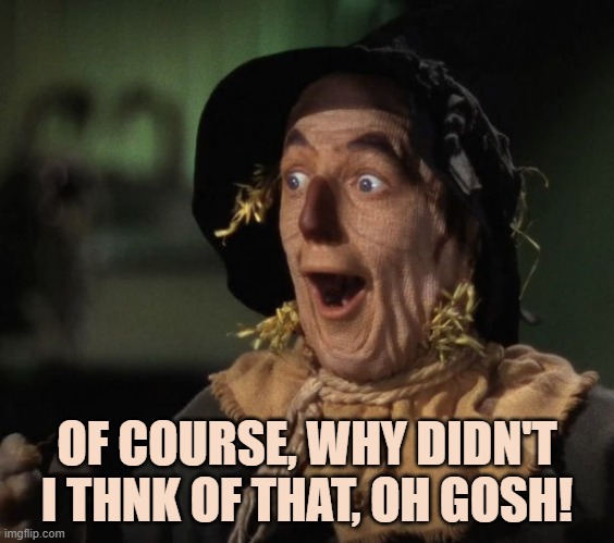 Straw Man - What a Great Idea | OF COURSE, WHY DIDN'T I THNK OF THAT, OH GOSH! | image tagged in straw man - what a great idea | made w/ Imgflip meme maker