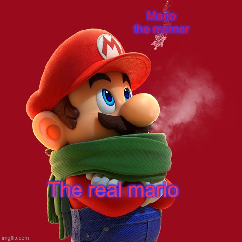 The snowflake | Mario the memer; The real mario | image tagged in unofficial mario the memer announcement temp | made w/ Imgflip meme maker