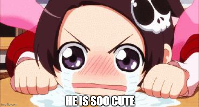 the crying anime girl | HE IS SOO CUTE | image tagged in the crying anime girl | made w/ Imgflip meme maker