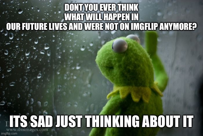 kermit window | DONT YOU EVER THINK WHAT WILL HAPPEN IN OUR FUTURE LIVES AND WERE NOT ON IMGFLIP ANYMORE? ITS SAD JUST THINKING ABOUT IT | image tagged in kermit window | made w/ Imgflip meme maker
