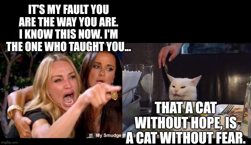 IT'S MY FAULT YOU ARE THE WAY YOU ARE. I KNOW THIS NOW. I'M THE ONE WHO TAUGHT YOU... THAT A CAT WITHOUT HOPE, IS A CAT WITHOUT FEAR. | image tagged in smudge the cat | made w/ Imgflip meme maker