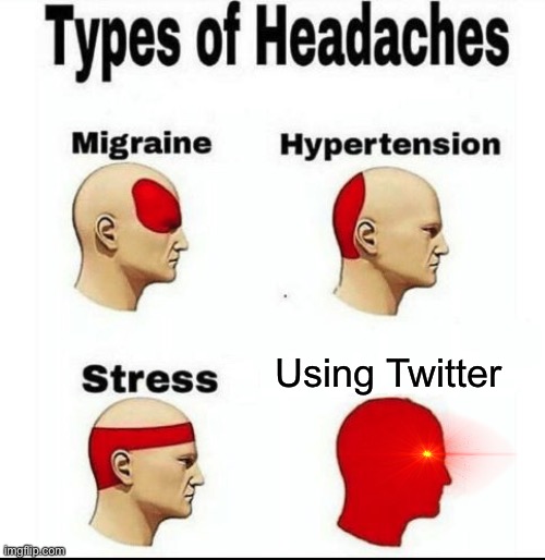 meme | Using Twitter | image tagged in types of headaches meme | made w/ Imgflip meme maker