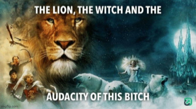 The lion, the witch, and the audacity of this bitch | image tagged in the lion the witch and the audacity of this bitch | made w/ Imgflip meme maker