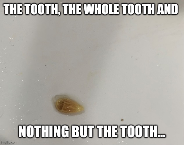 Tooth removed | THE TOOTH, THE WHOLE TOOTH AND; NOTHING BUT THE TOOTH… | image tagged in funny memes | made w/ Imgflip meme maker