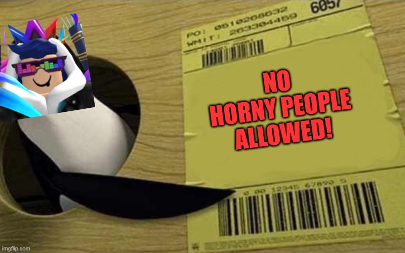 Read this FIRST! | NO
HORNY PEOPLE
ALLOWED! | image tagged in kowalski | made w/ Imgflip meme maker