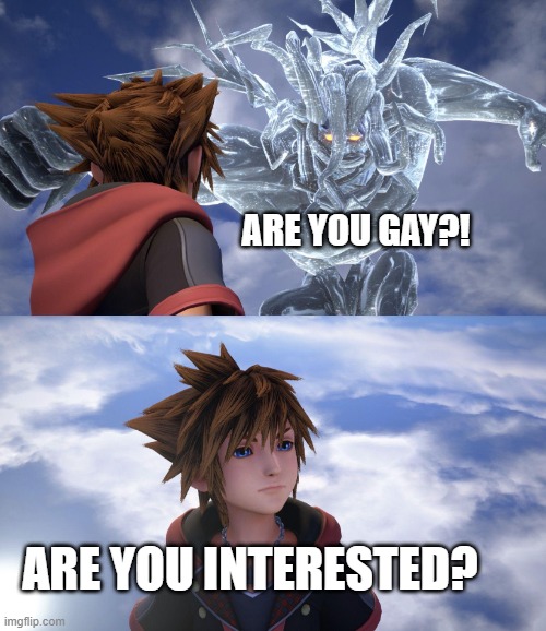 Sora's not in the mood | ARE YOU GAY?! ARE YOU INTERESTED? | image tagged in sora's not in the mood,memes,funny,sora,kingdom hearts,moving hearts | made w/ Imgflip meme maker