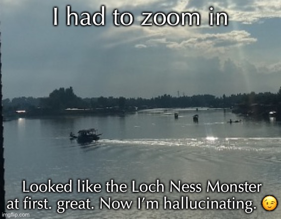 I had to zoom in Looked like the Loch Ness Monster at first. great. Now I’m hallucinating. ? | made w/ Imgflip meme maker