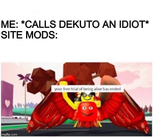 Your free trial of being alive has ended | ME: *CALLS DEKUTO AN IDIOT*
SITE MODS: | image tagged in your free trial of being alive has ended | made w/ Imgflip meme maker