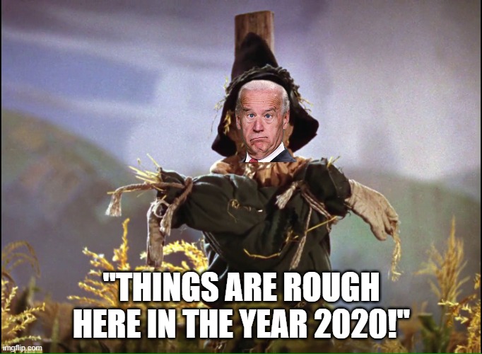 Wizard of Oz Scarecrow which way | "THINGS ARE ROUGH HERE IN THE YEAR 2020!" | image tagged in wizard of oz scarecrow which way | made w/ Imgflip meme maker