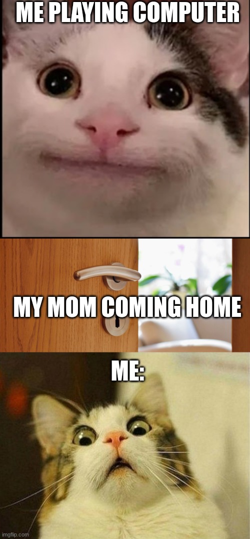 So true | ME PLAYING COMPUTER; MY MOM COMING HOME; ME: | image tagged in memes,scared cat | made w/ Imgflip meme maker