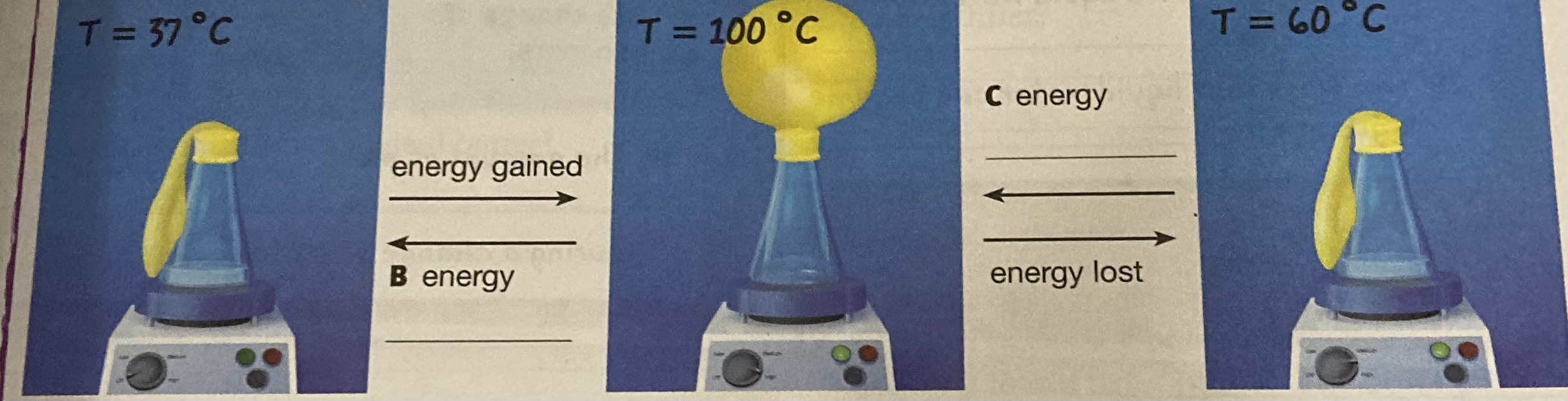 High Quality Balloons from my science textbook Blank Meme Template