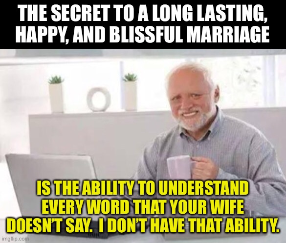 Happy Marriage | THE SECRET TO A LONG LASTING, HAPPY, AND BLISSFUL MARRIAGE; IS THE ABILITY TO UNDERSTAND EVERY WORD THAT YOUR WIFE DOESN’T SAY.  I DON’T HAVE THAT ABILITY. | image tagged in harold | made w/ Imgflip meme maker