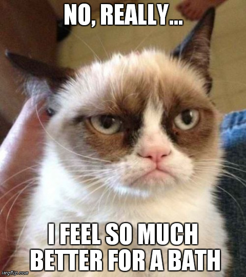 Grumpy Cat Reverse Meme | NO, REALLY... I FEEL SO MUCH BETTER FOR A BATH | image tagged in memes,grumpy cat | made w/ Imgflip meme maker