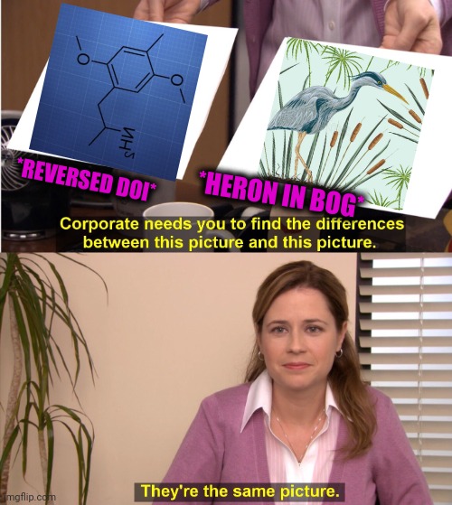 -Bird of pray getting away. | *REVERSED DOI*; *HERON IN BOG* | image tagged in memes,they're the same picture,is this a bird,organic chemistry,swamp,totally looks like | made w/ Imgflip meme maker