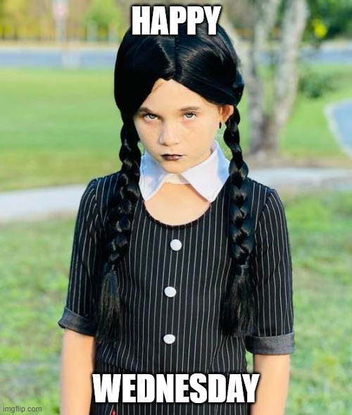 Happy Wednesday | HAPPY; WEDNESDAY | image tagged in hump day | made w/ Imgflip meme maker
