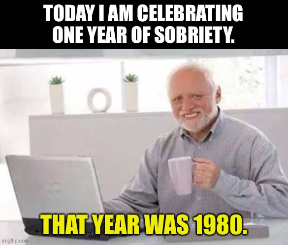 Sobriety | TODAY I AM CELEBRATING ONE YEAR OF SOBRIETY. THAT YEAR WAS 1980. | image tagged in harold | made w/ Imgflip meme maker