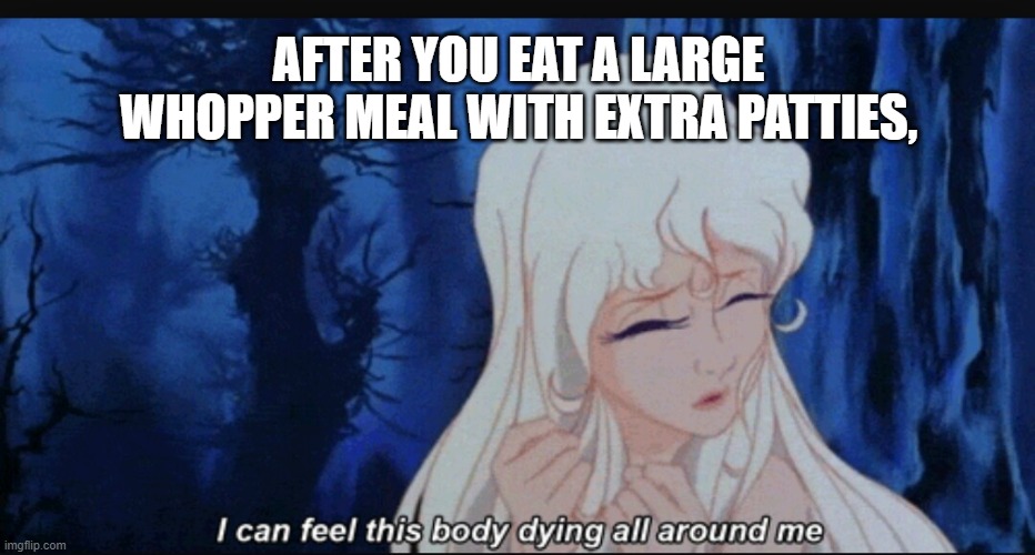 AFTER YOU EAT A LARGE WHOPPER MEAL WITH EXTRA PATTIES, | image tagged in unicorn | made w/ Imgflip meme maker