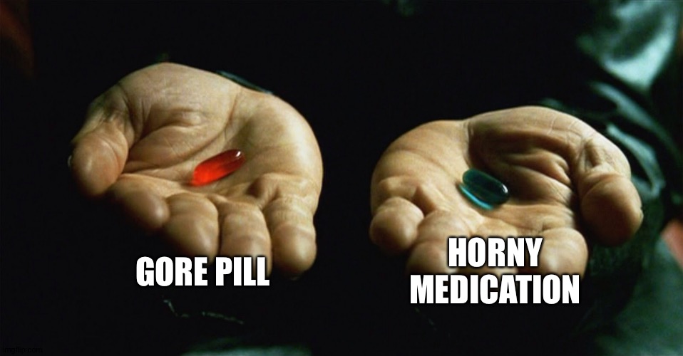Choose wisely | GORE PILL; HORNY MEDICATION | image tagged in red pill blue pill | made w/ Imgflip meme maker
