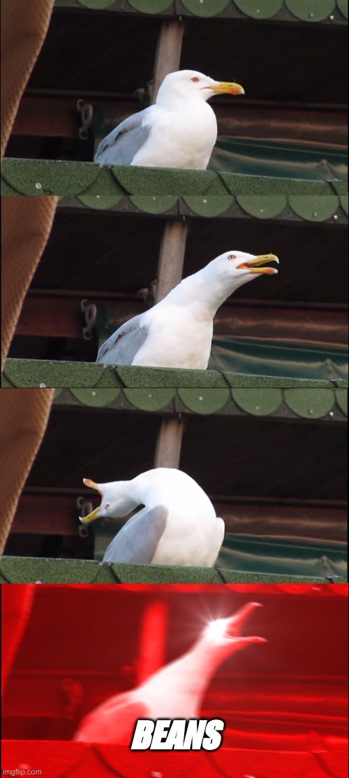Inhaling Seagull | BEANS | image tagged in memes,inhaling seagull | made w/ Imgflip meme maker