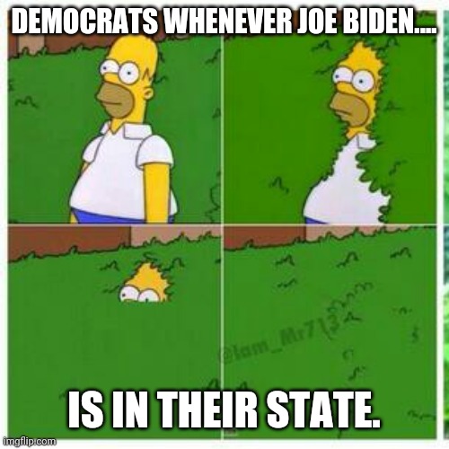 They want nothing to do with brain dead Joe. | DEMOCRATS WHENEVER JOE BIDEN.... IS IN THEIR STATE. | image tagged in homer hides | made w/ Imgflip meme maker