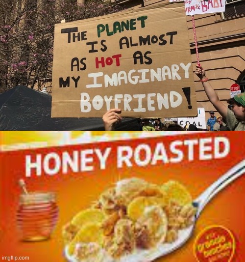 Honey bunches of oats Honey Roasted | image tagged in honey bunches of oats honey roasted | made w/ Imgflip meme maker