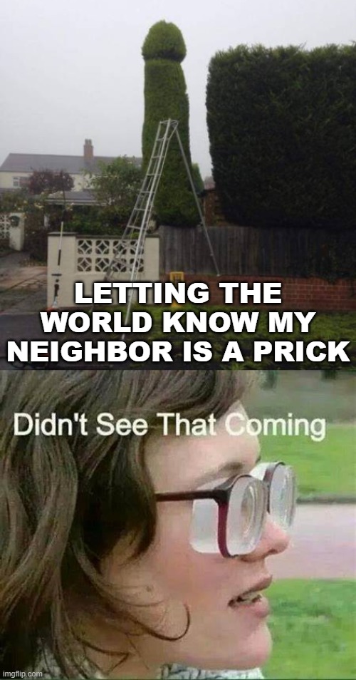 When you just have to let everyone know. | LETTING THE WORLD KNOW MY NEIGHBOR IS A PRICK | image tagged in see that,neighbors | made w/ Imgflip meme maker